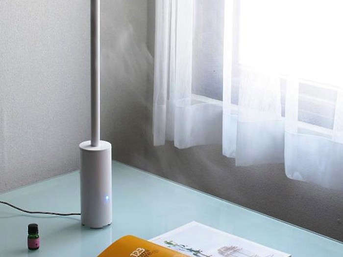 10 Easy Pieces Desktop Humidifiers Gardenista